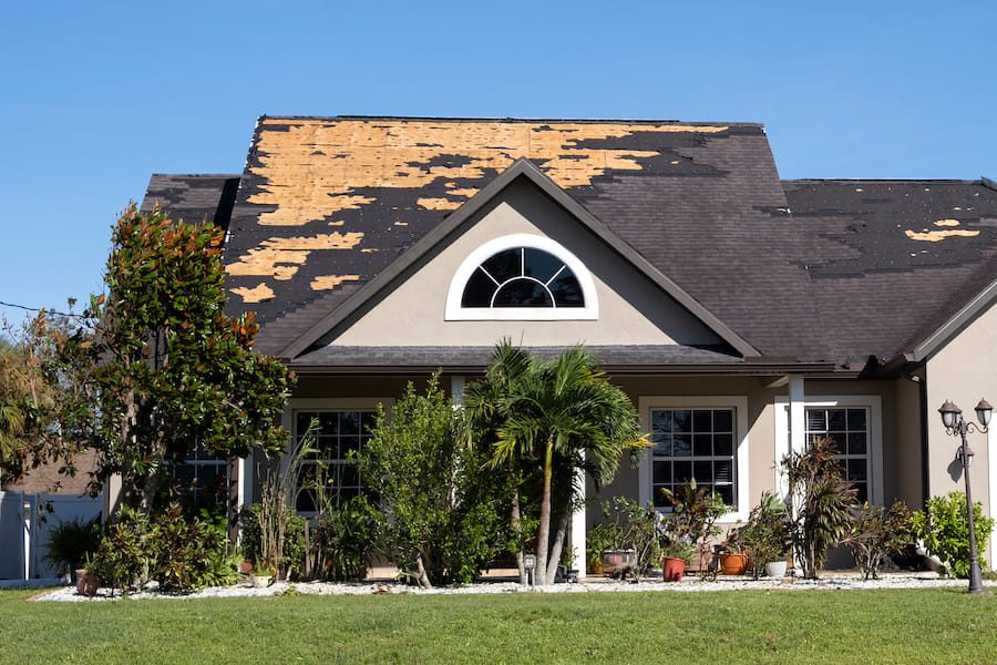 Damaged shingles on roof 
