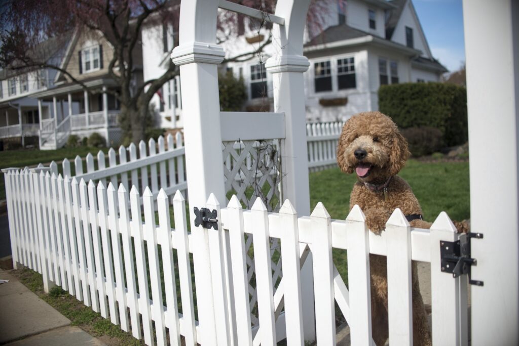 Fence installation and fence replacement in Greenville, SC for privacy, security, and curb appeal.